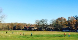 Crawley OMF Members running at a class